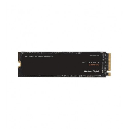 WDS100T1X0E 