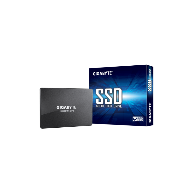 GP-GSTFS31256GTND 