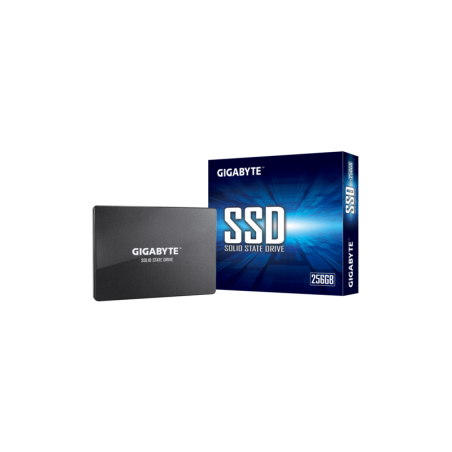 GP-GSTFS31256GTND 
