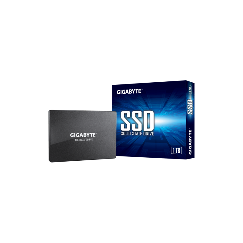 GP-GSTFS31100TNTD 