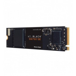 WDS250G1B0E 
