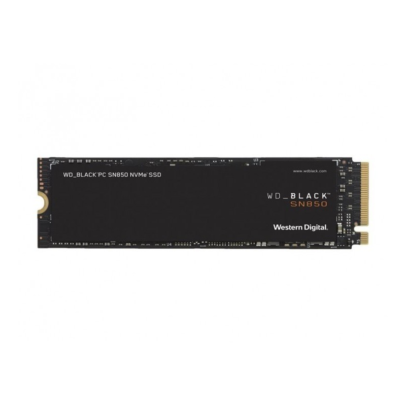WDS200T1X0E 
