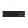 WDS200T1X0E 