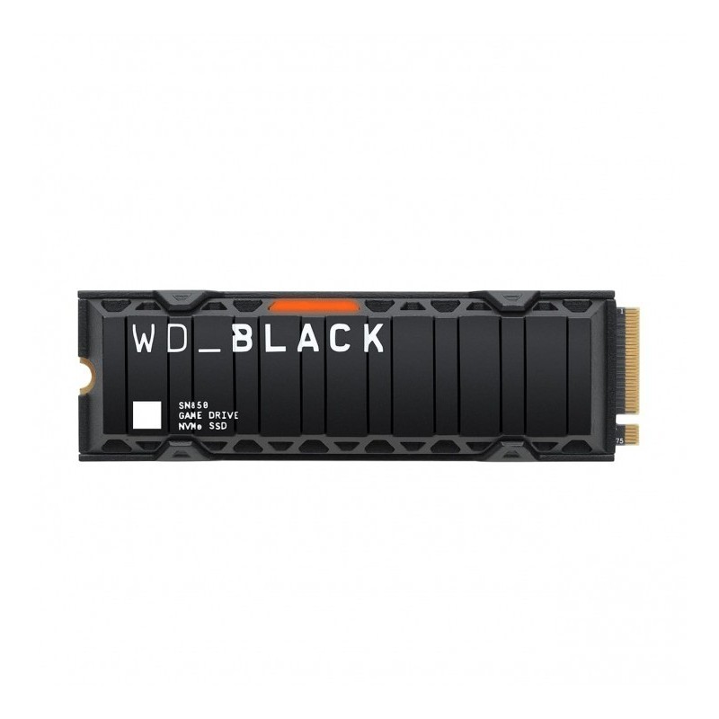WDS100T1XHE 