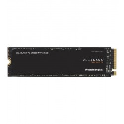 WDS500G1X0E 