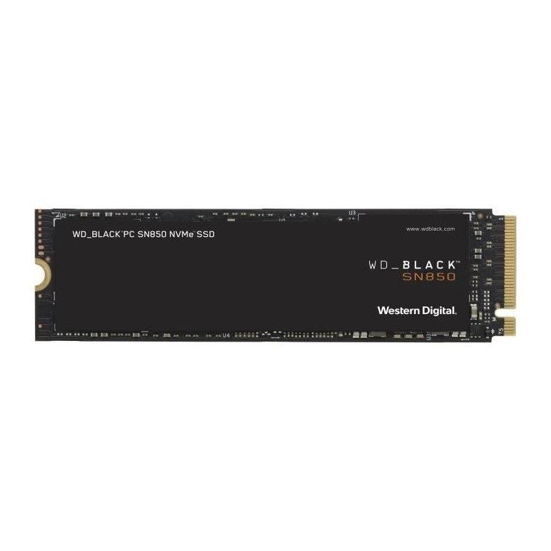WDS500G1X0E 