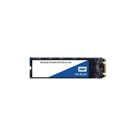 WDS500G2B0B 