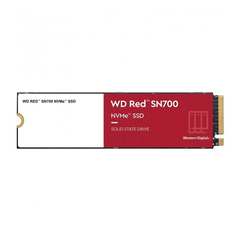 WDS100T1R0C 