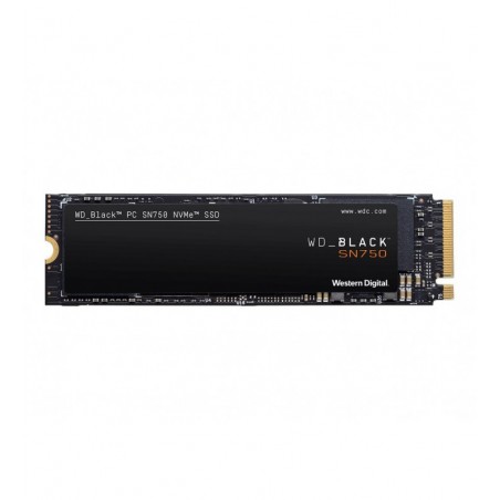 WDS500G3X0C 