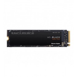 WDS250G3X0C 