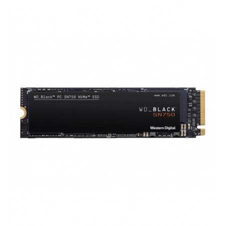 WDS250G3X0C 