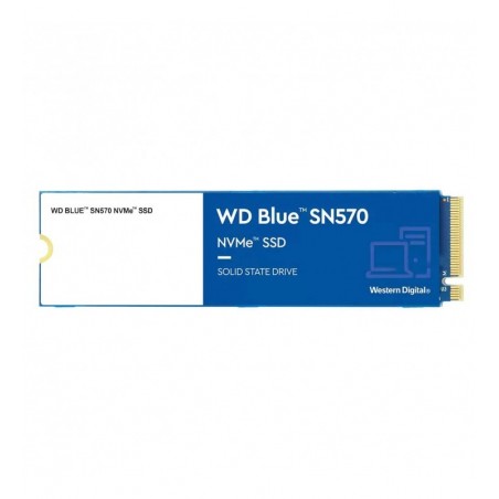 WDS100T3B0C 
