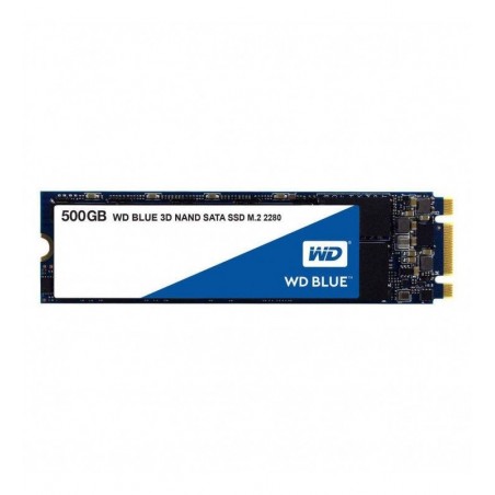 WDS250G2B0B 
