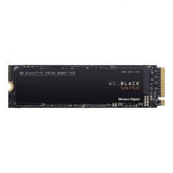 WDS100T3X0C 