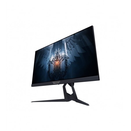 AORUS FI25F 