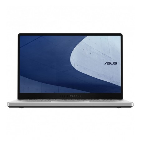 PX401QM-HZ294R 