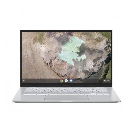 ASUS ChromeBook C425TA-AJ0326 